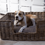 A brown and white dog lies inside a large woven wicker dog bed with a gray cushion, set on a tiled floor in front of white cabinets.