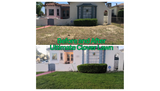 Before and after comparison of a lawn with 'Ultimate Clover Lawn' treatment.