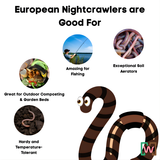 Diagram of European nightcrawlers with benefits listed on a white background