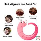 Red wiggler compost worms with benefits listed on a white background