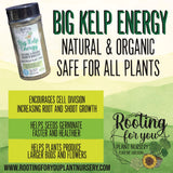 Advertisement for Big Kelp Energy natural and organic plant supplement with product packaging and promotional text.