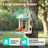 Birdfy Feeder with Solar Panel - Solar-Powered Smart Bird Feeder with Camera