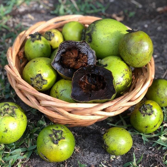 Basket of Black Sapote Bernicker Tree Grafted with one open showing a dark interior on a natural background