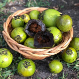 Basket of Sapote fruits with one open showing a dark interior on a natural background