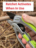 Hand holding a gardening tool with text 'Ratchet Activates When In Use' on a natural background