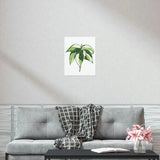 Philodendron Cream Splash Botanical Print – Unframed Wall Art
