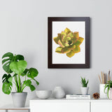 Noble Aeonium Succulent Framed Print – Botanical Wall Art