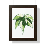 Philodendron Cream Splash Framed Print – Botanical Wall Art
