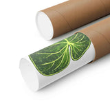 Philodendron Gloriosum Botanical Print – Unframed Wall Art