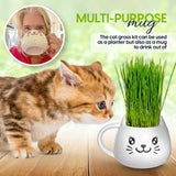 A small orange tabby kitten stands beside a white ceramic mug-shaped planter filled with green cat grass. The mug has a black cat face print.