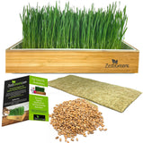 A Zestigreens cut grass kit showing a wooden planter filled with tall green grass, alongside a sample of dried grass clippings, a pile of wheat seeds, and two product information cards on a white background.