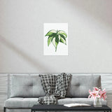 Philodendron Cream Splash Botanical Print – Unframed Wall Art