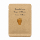 25 Chupon de Malinalco Tomatillo Seeds, Heirloom Mexican Variety, Salsa & Fresh Eating