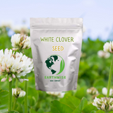 White clover seed packet with 'Earthwise Seed Company' logo against a background of white flowers.