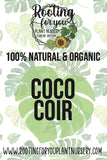 Advertisement for Rooting for You Plant Nursery with text about 100% natural and organic coco coir.