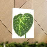 Philodendron Gloriosum Botanical Print – Unframed Wall Art