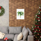Philodendron Cream Splash Botanical Print – Unframed Wall Art