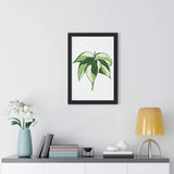 Philodendron Cream Splash Framed Print – Botanical Wall Art