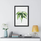 Philodendron Cream Splash Framed Print – Botanical Wall Art