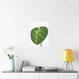 Philodendron Gloriosum Botanical Print – Unframed Wall Art