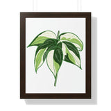 Philodendron Cream Splash Framed Print – Botanical Wall Art