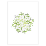 Snow Queen Pothos Greeting Card – Blank Inside With Envelope