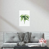 Philodendron Cream Splash Botanical Print – Unframed Wall Art