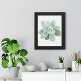Pachyveria Haagei Succulent Framed Print – Botanical Wall Art
