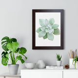 Pachyveria Haagei Succulent Framed Print – Botanical Wall Art