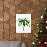 Philodendron Cream Splash Botanical Print – Unframed Wall Art