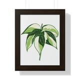 Philodendron Cream Splash Framed Print – Botanical Wall Art