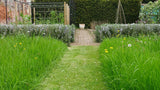 Pathway through a garden with green grass and flowers Meadowscaping Mix Alternative Lawn Seed