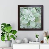 Pachyveria Haagei Succulent Pattern Framed Print – Botanical Wall Art