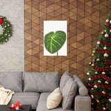 Philodendron Gloriosum Botanical Print – Unframed Wall Art