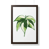 Philodendron Cream Splash Framed Print – Botanical Wall Art