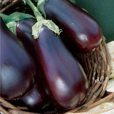 Three eggplants in a wicker basket with a green background EGGPLANT Seeds, Black Beauty