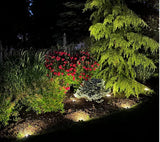 Energizer 10-pc Solar Disc Lights Multi-Direction 20 Lumen