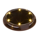 Energizer 10-pc Solar Disc Lights Multi-Direction 20 Lumen