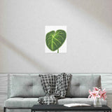 Philodendron Gloriosum Botanical Print – Unframed Wall Art