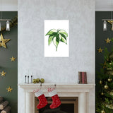 Philodendron Cream Splash Botanical Print – Unframed Wall Art