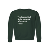 Tradescantia, Aglaonema, Maranta & Ficus Plant Lover Sweatshirt – Organic Cotton Raglan