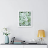 Pachyveria Haagei Succulent Pattern Framed Print – Botanical Wall Art