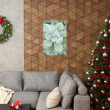 Pachyveria Haagei Succulent Pattern Botanical Print – Unframed Wall Art