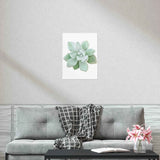 Pachyveria Haagei Succulent Botanical Print – Unframed Wall Art