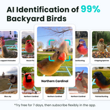 AI bird identification app with images of various birds and text indicating 99% accuracy.