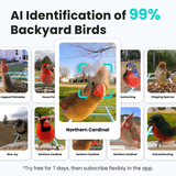 Birdfy Feeder with Solar Panel - Solar-Powered Smart Bird Feeder with Camera