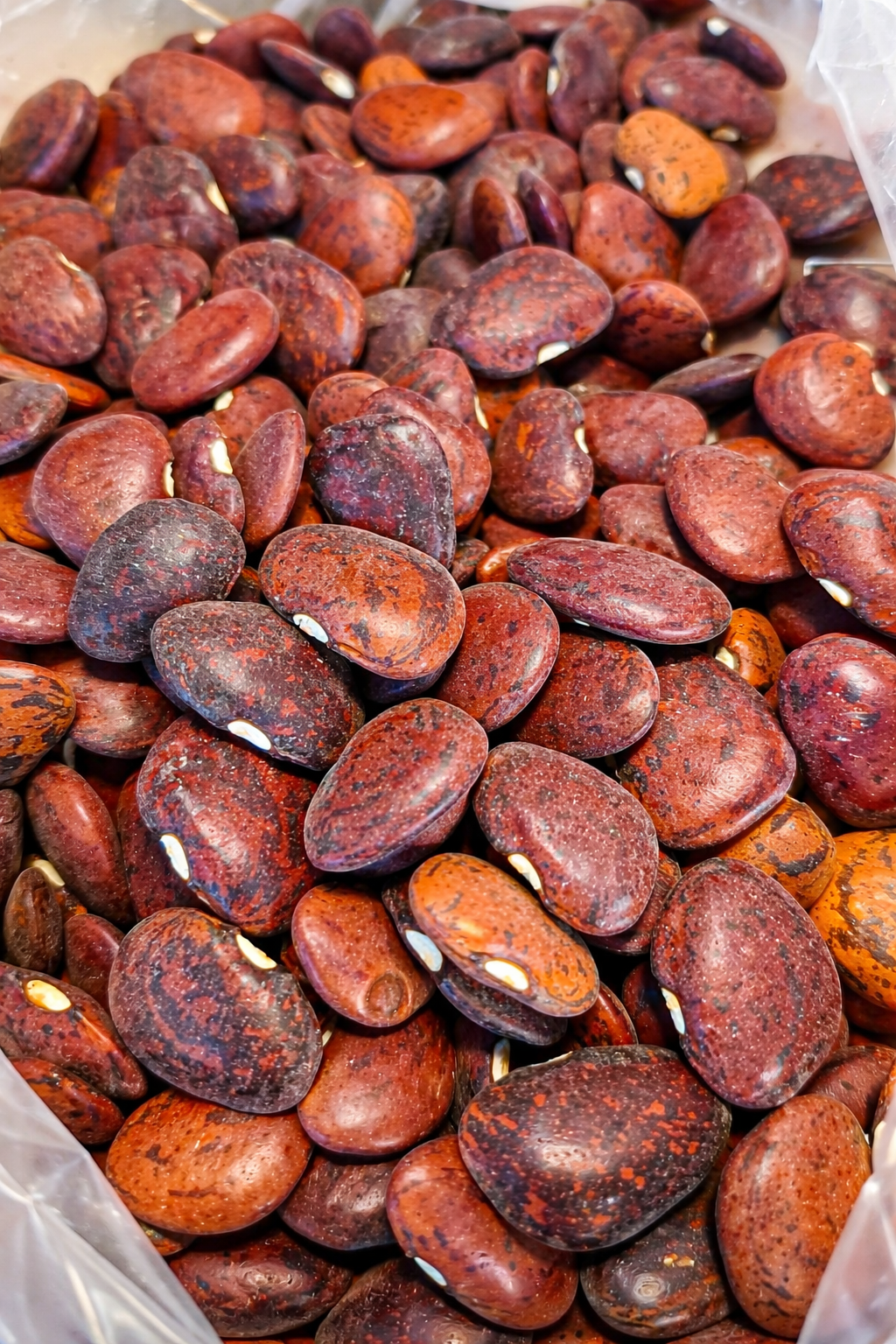 spanish peanut seeds for planting Heirloom Organic Raw Spanish Peanut Seeds