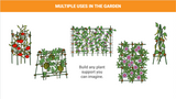 Illustrations of plant trellises with text on multiple uses in the garden.