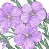 Flax, Blue (1/4 lb)