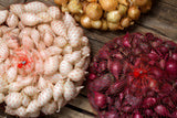 Close-up of various types of onions on a wooden surface